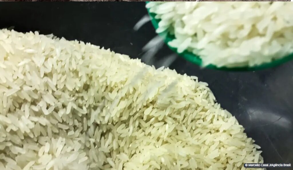 “Brasil não precisa importar arroz”, afirmam produtoras
