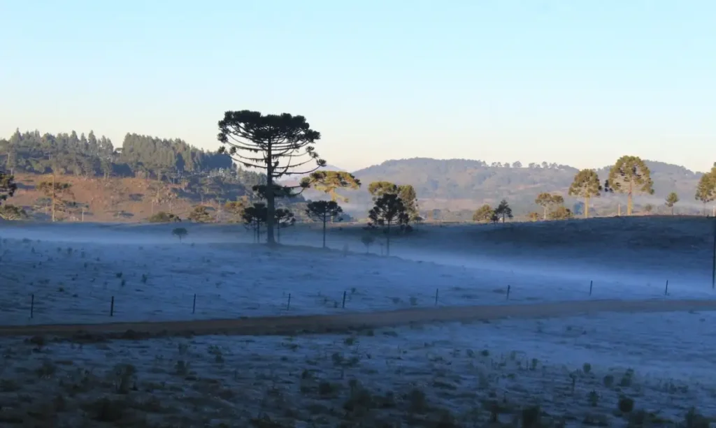 Massa de ar frio provoca queda de temperatura e geada