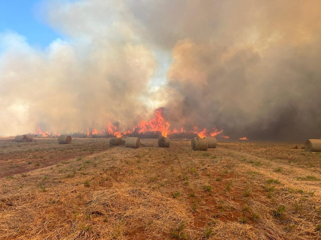 Incêndio atinge fazenda e danifica soja