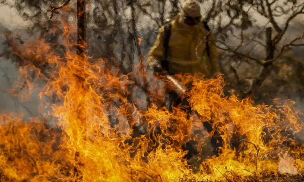 Pantanal bate recorde de incêndios no primeiro semestre e sinaliza avanço das queimadas no país