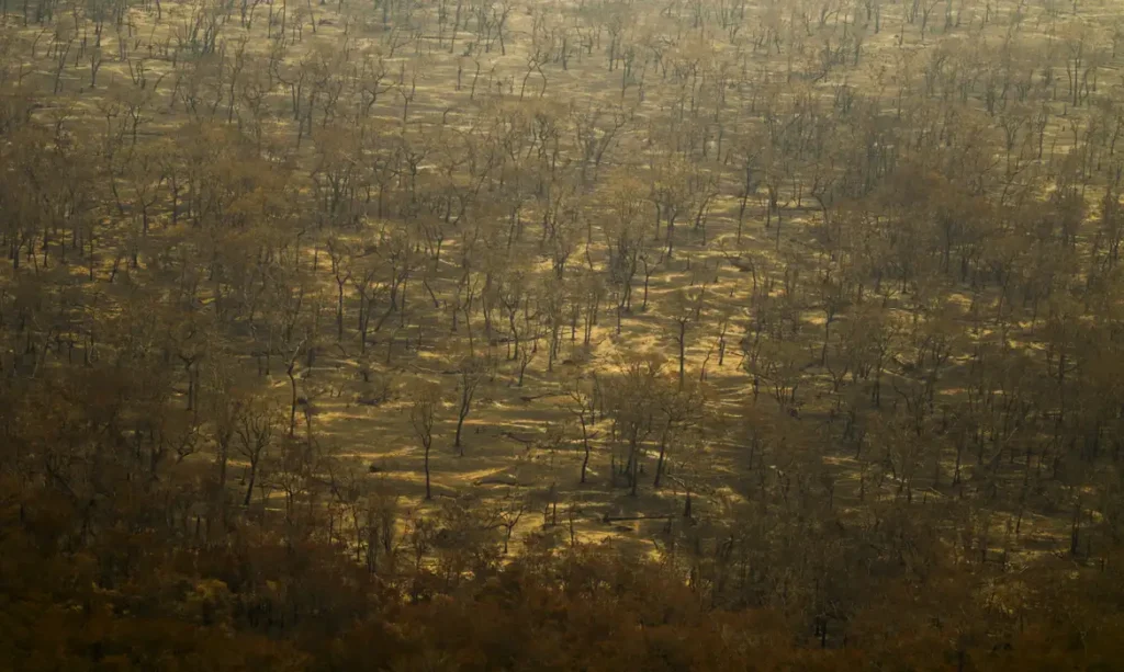 Incêndios e seca na Amazônia e no Pantanal batem marcas históricas