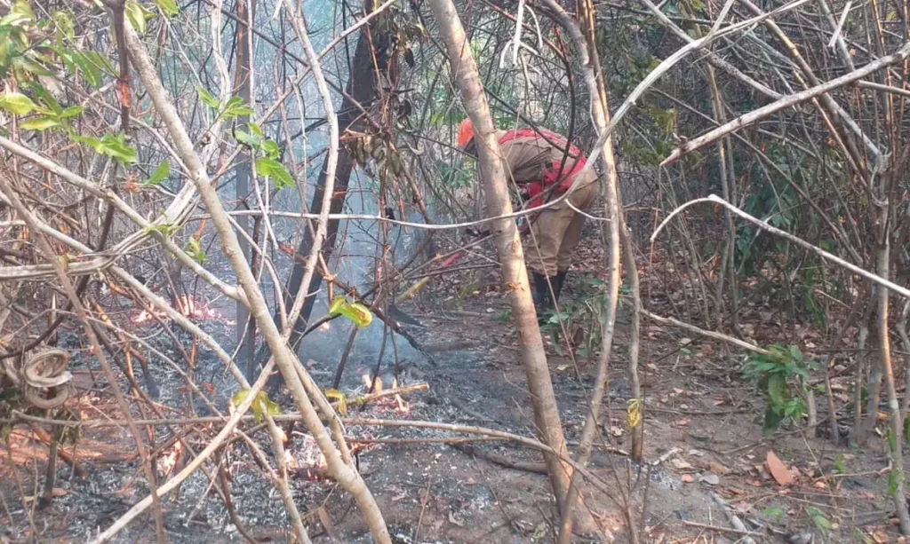 Incêndio na Chapada dos Veadeiros ainda não foi controlado