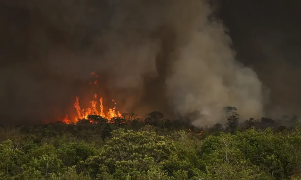 Brasil registra 22,38 milhões de hectares queimados em 2024; Amazônia é a mais afetada