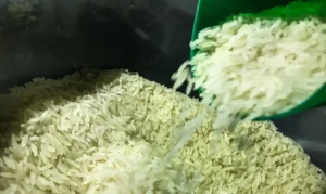 Receita Estadual inicia nova fase de autorregularização para o setor de arroz beneficiado