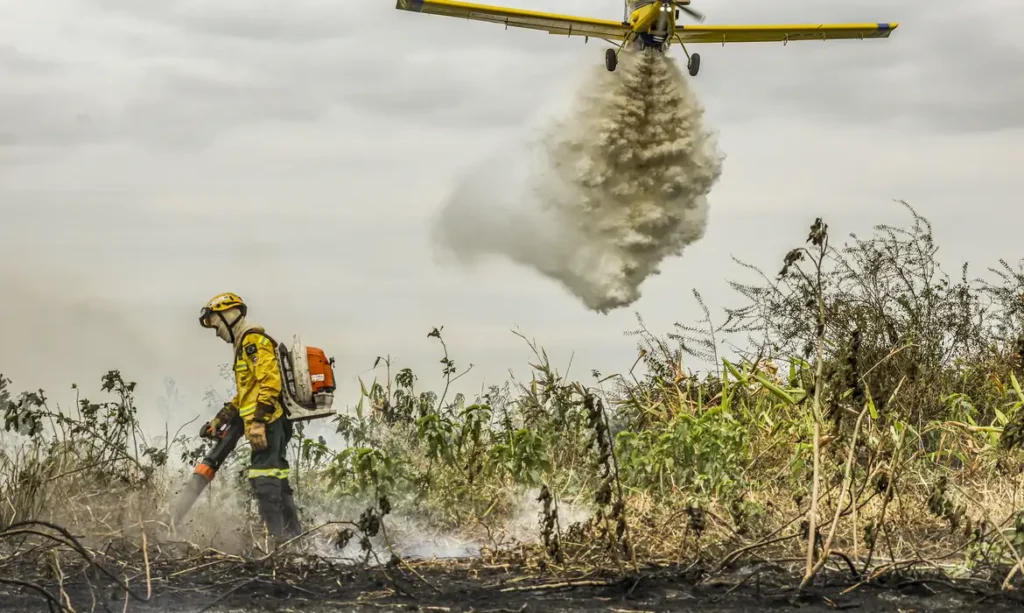 Pantanal: redução da área alagada tem favorecido aumento de incêndios