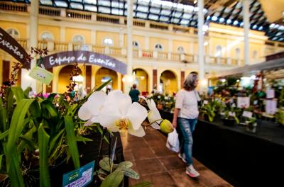 Mercado Público recebe segunda edição da exposição de orquídeas