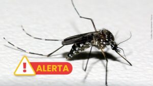 Temporada de verão acende alerta para a dengue no Estado